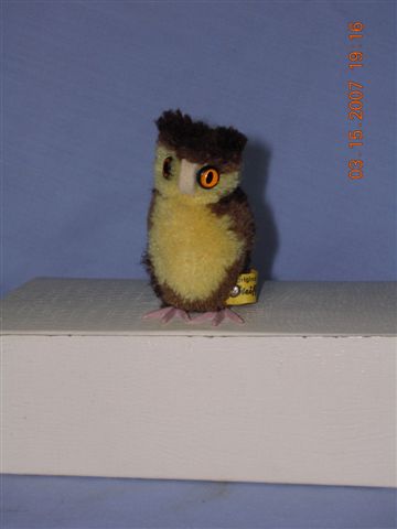 Baby Owl